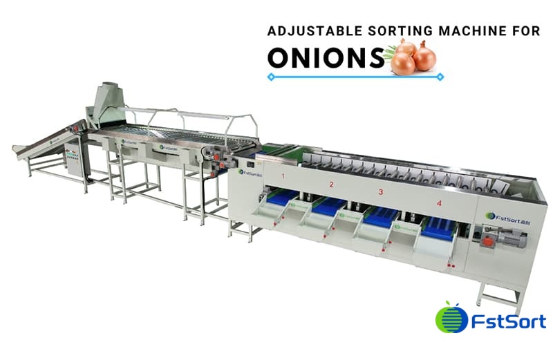 images/1675938968622onion grader.jpg